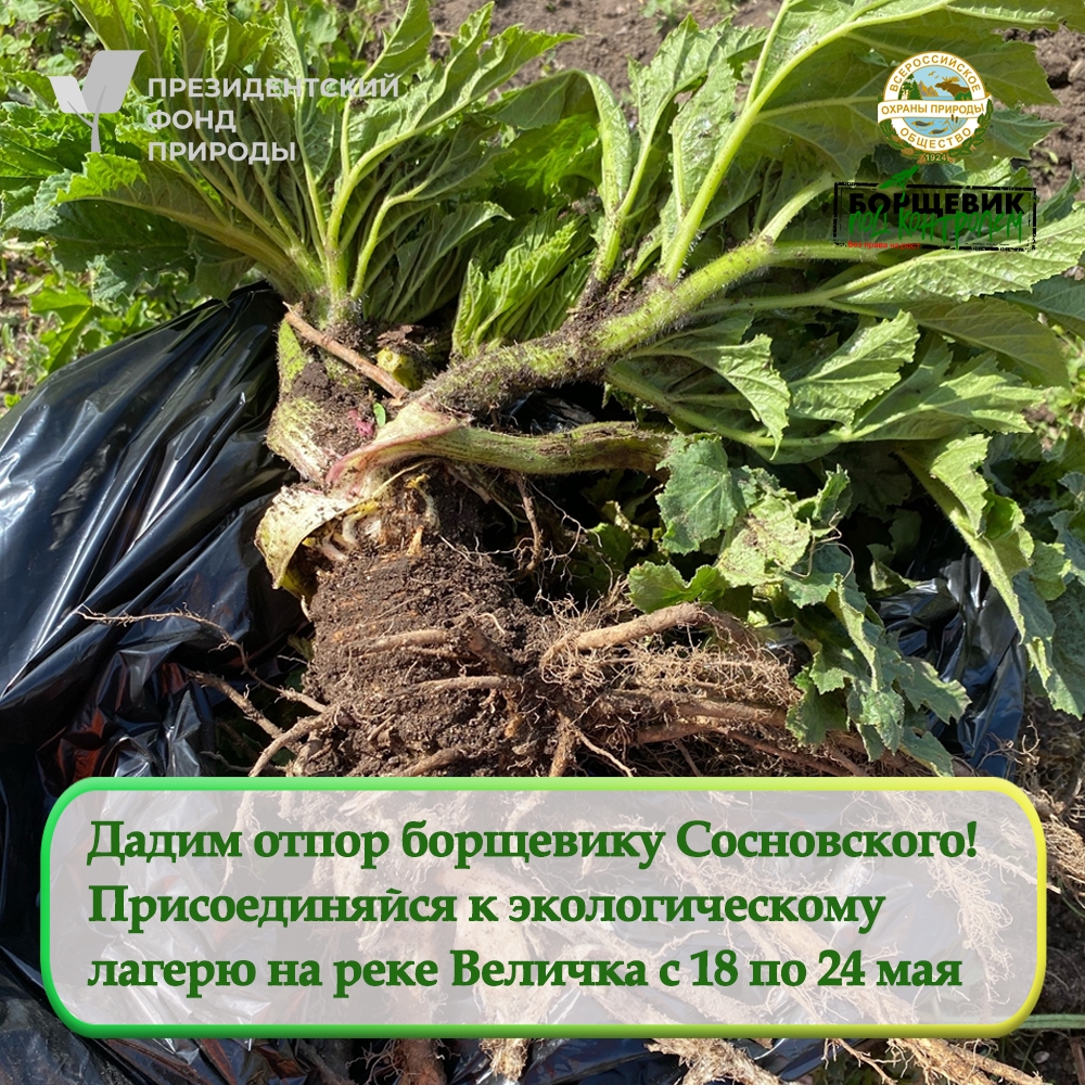 Продолжается набор волонтеров в экологический лагерь на территории Памятника природы «Река Величка»