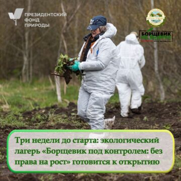 Объявляем обратный отсчет Объявляем обратный отсчет