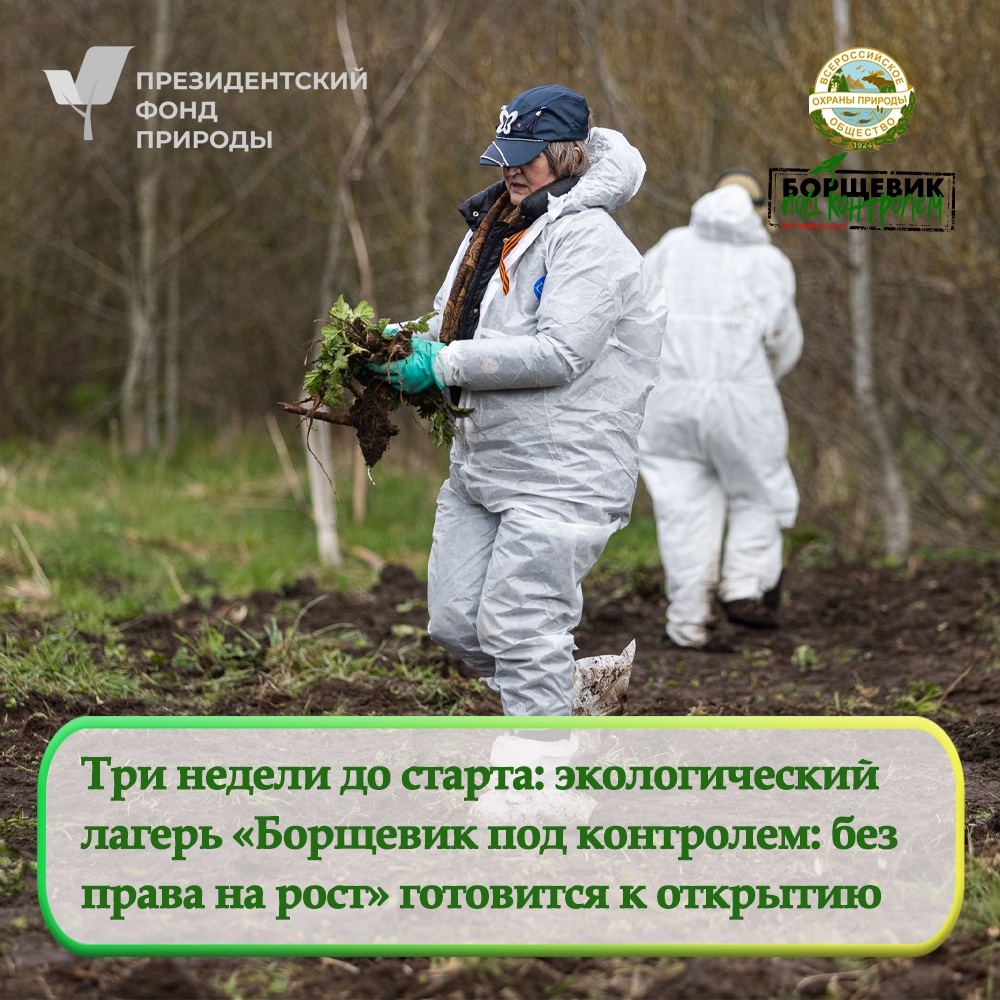 Объявляем обратный отсчет