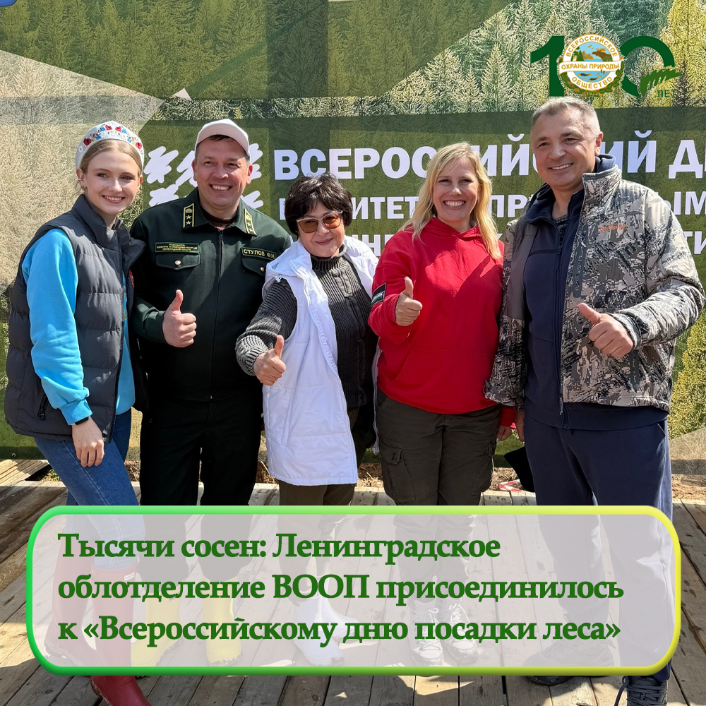 Тысячи сосен: Ленинградское  облотделение ВООП присоединилось  к «Всероссийскому дню посадки леса»