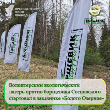 В Ленинградской области начал работу второй волонтерский лагерь