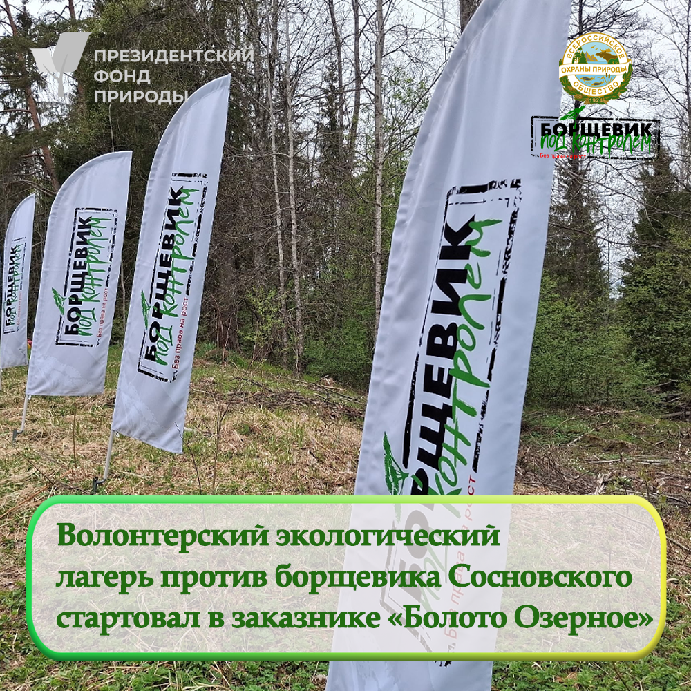 В Ленинградской области начал работу второй волонтерский лагерь