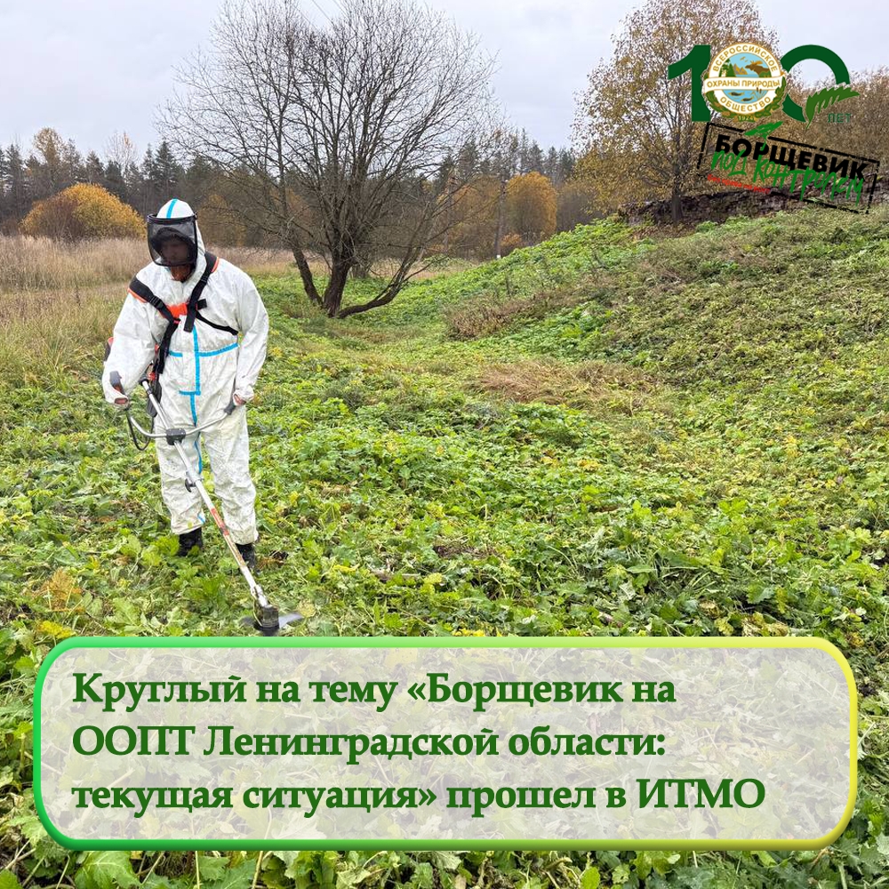 Круглый на тему «Борщевик на особо охраняемых территориях (ООПТ) Ленинградской области: текущая ситуация»