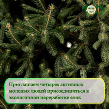 Волонтёры, нужна ваша помощь! Волонтёры, нужна ваша помощь!