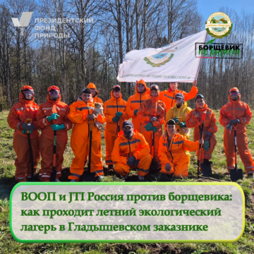 ВООП и JTI Россия против борщевика:  как проходит летний экологический  лагерь в Гладышевском заказнике