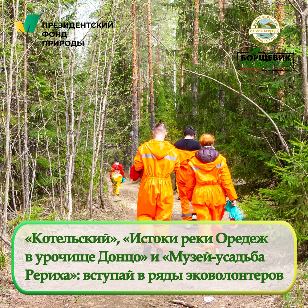 Продолжается набор в волонтерские лагеря по борьбе с борщевиком Сосновского