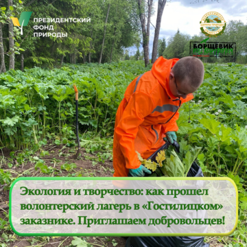 В Ленинградской области завершился четвертый волонтерский лагерь
