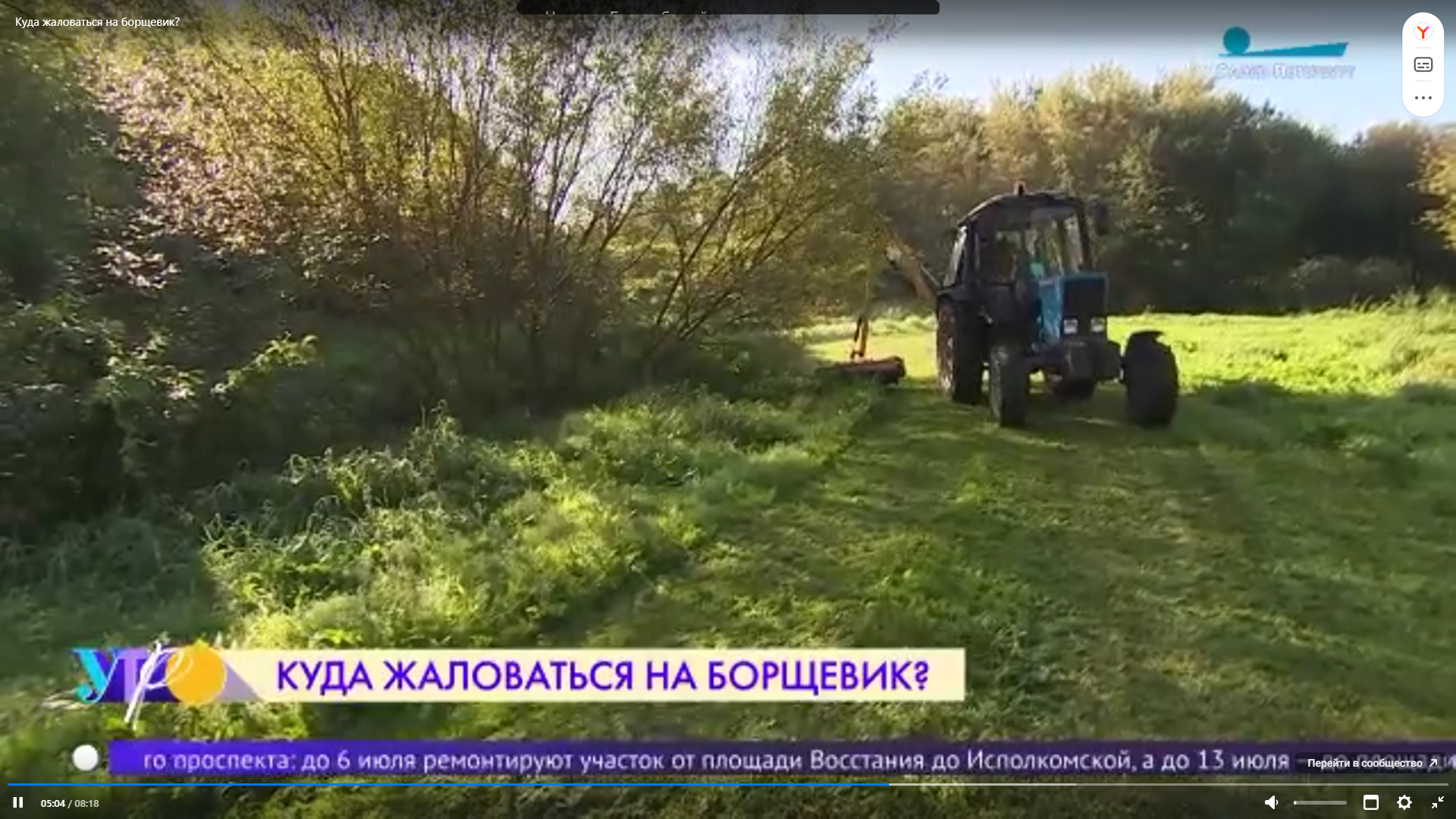 Наталья Калягина ответила на важные вопросы о борщевике Сосновского