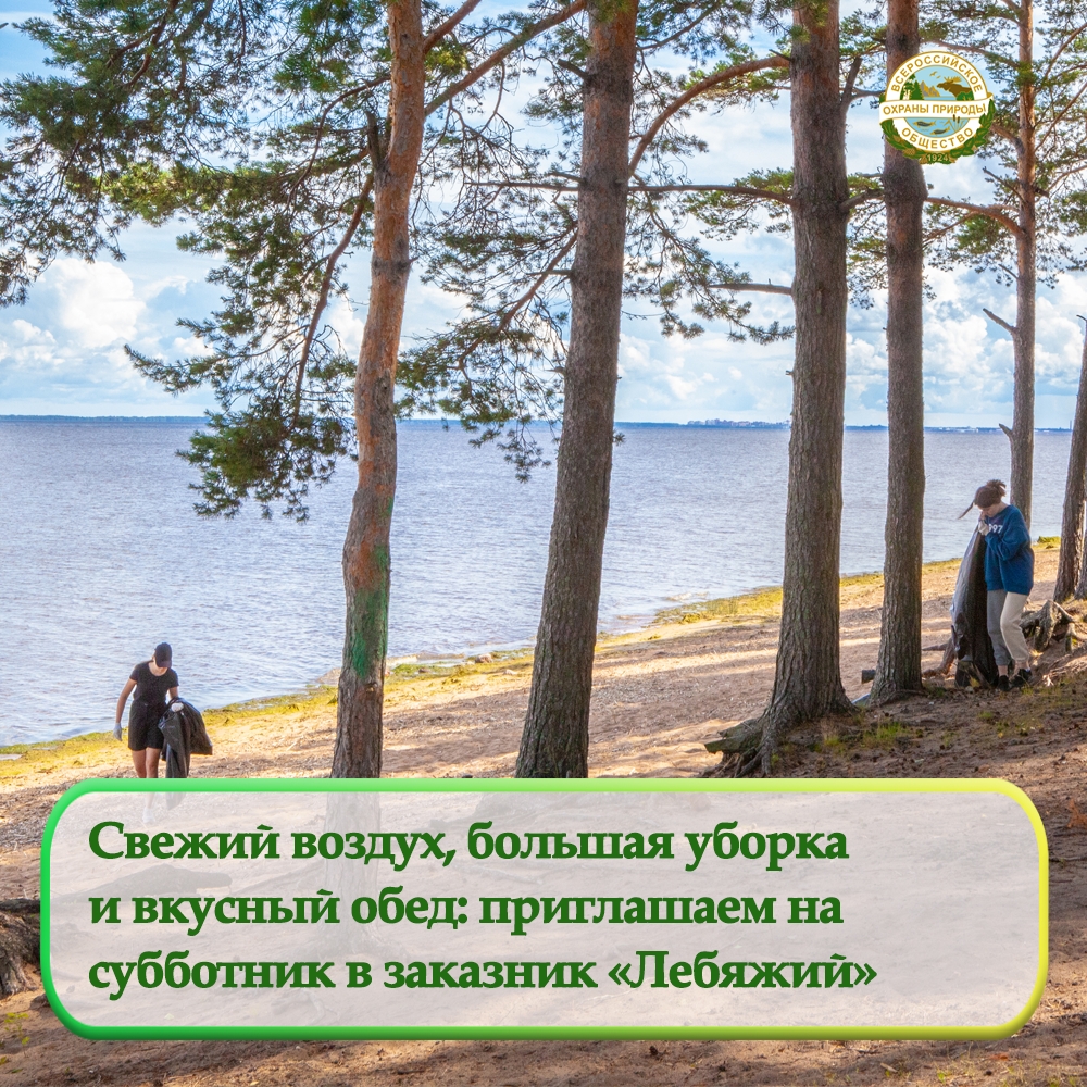 Приглашаем вас присоединиться экологическому субботнику