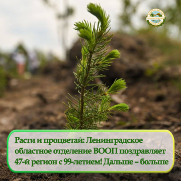 Расти и процветай: Ленинградское областное отделение ВООП поздравляет 47-й регион с 99-летием! Дальше – больше Расти и процветай: Ленинградское областное отделение ВООП поздравляет 47-й регион с 99-летием! Дальше – больше