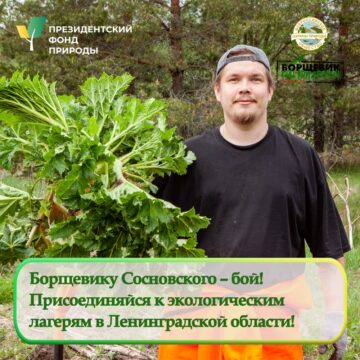 Вы можете стать участником любой из смен лагеря или сразу трех