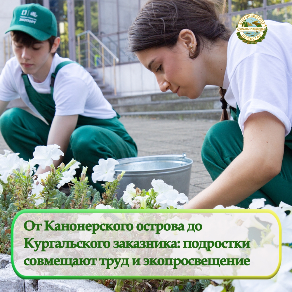 Завершилась первая неделя трудовых отрядов Первой Портовой Компании «ЭКОПОРТ»