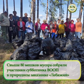 Волонтеры ВООП собрали свыше 80 мешков мусора Волонтеры ВООП собрали свыше 80 мешков мусора