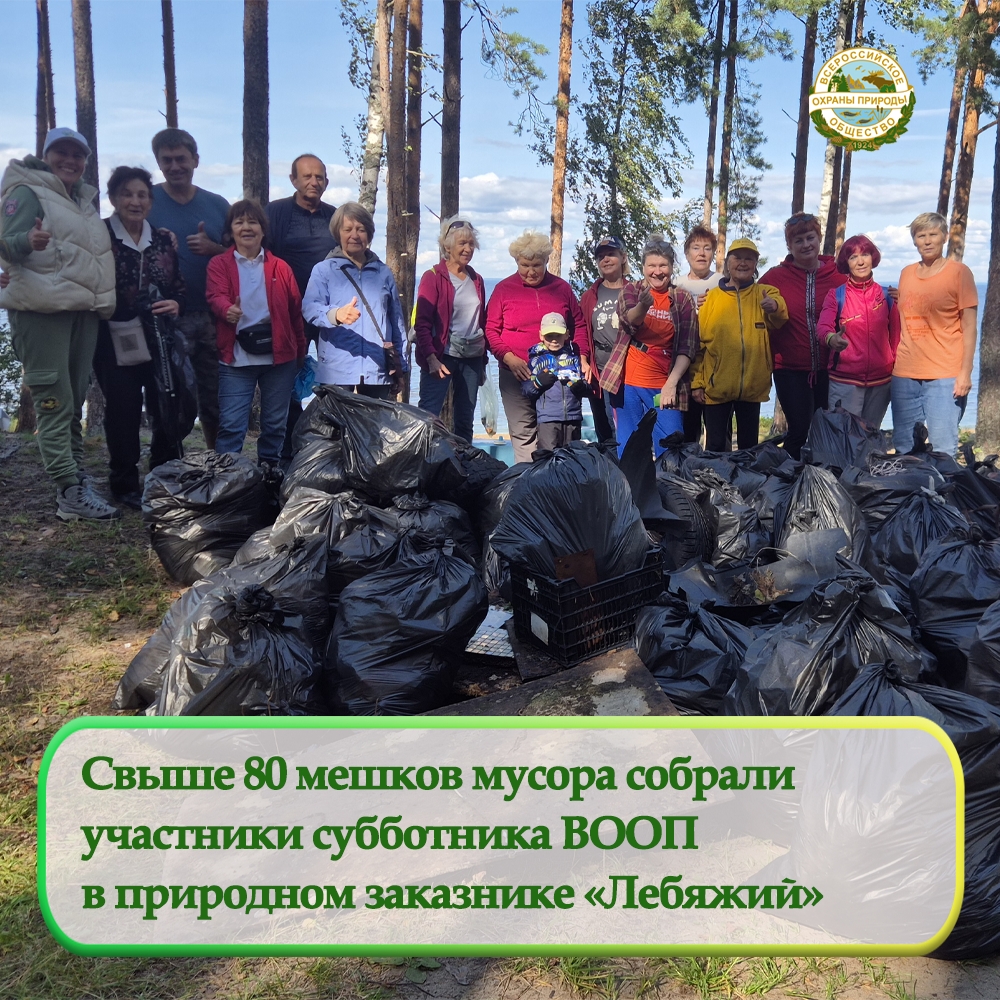 Волонтеры ВООП собрали свыше 80 мешков мусора