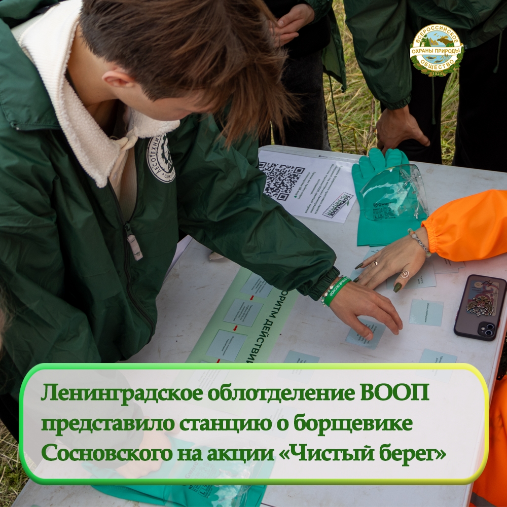 Ленинградское областное отделение ВООП стало участником XII Международной молодежной экологической акции «Чистый берег»