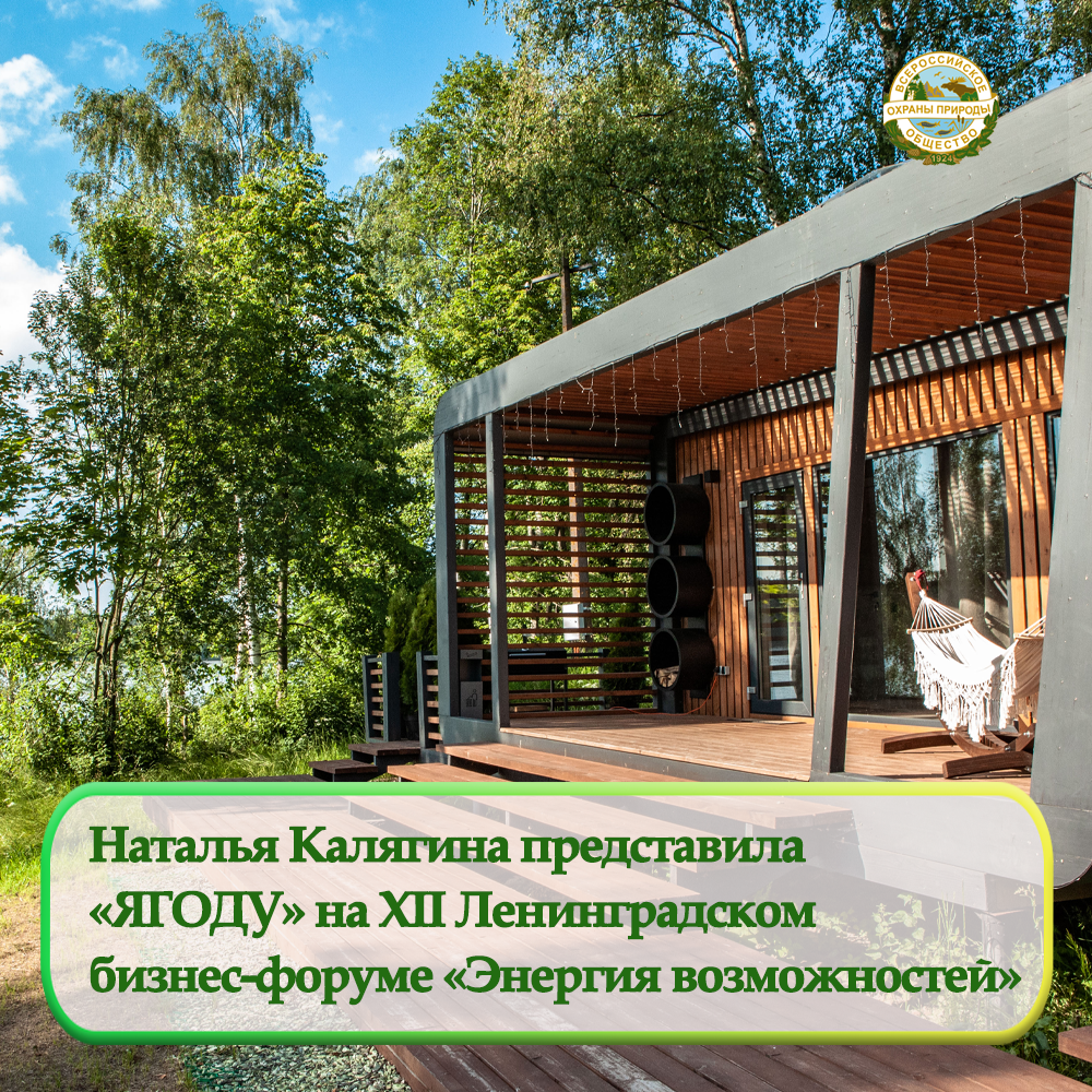 Наталья Калягина представила «ЯГОДУ» на XII Ленинградском бизнес-форуме «Энергия возможностей»