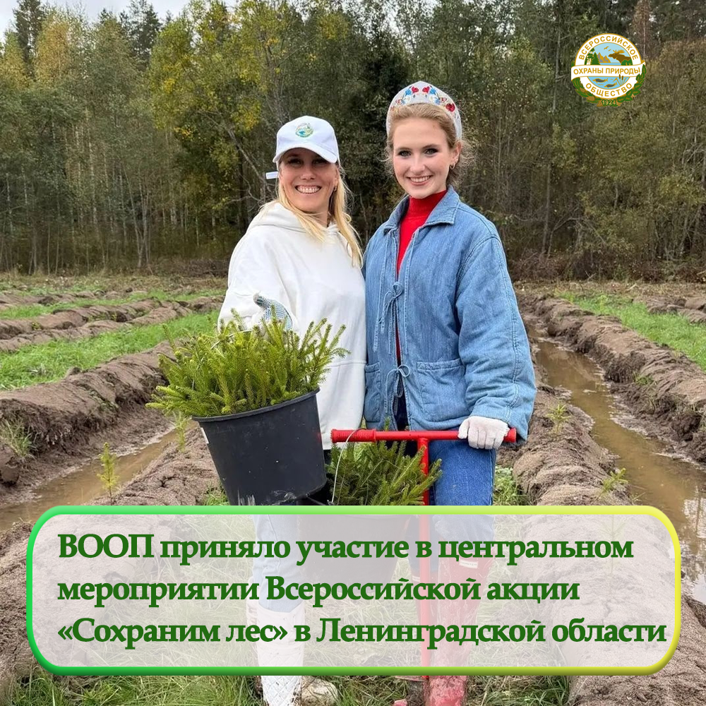 ВООП приняло участие в центральном мероприятии Всероссийской акции «Сохраним лес» в Ленинградской области