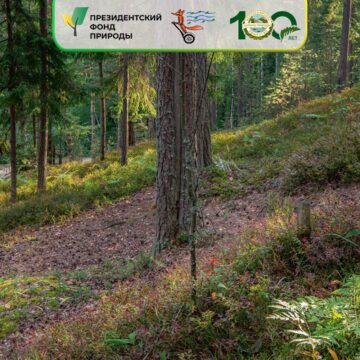 Вторая лекция в рамках проекта «Сохраним ООПТ в крупных городах: от мониторинга и оценки к практическим решениям»