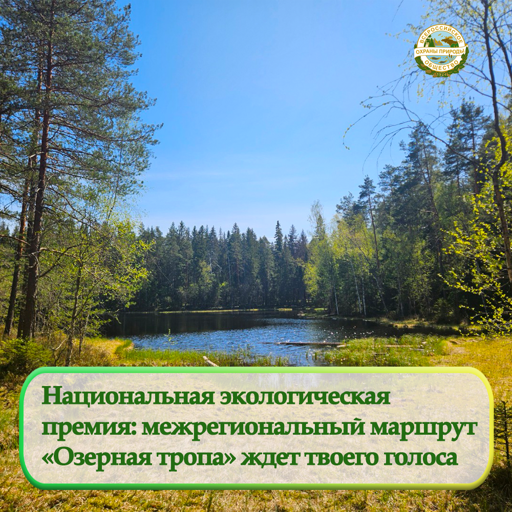 Голосуй за маршрут «Озерная тропа»