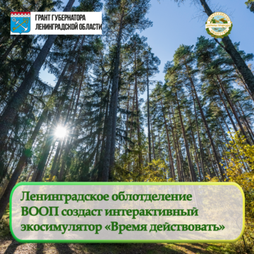 Ленинградское облотделение ВООП выиграло грант на создание симулятора «Время действовать»