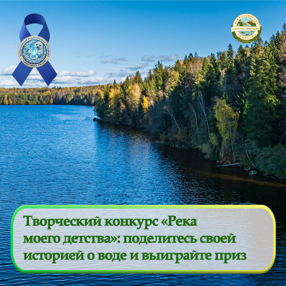 Творческий конкурс «Река моего детства»